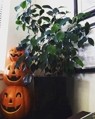 Found some cute Halloween decorations in the office today! I found them hilarious :)