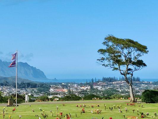 Can you see Chinaman's Hat?