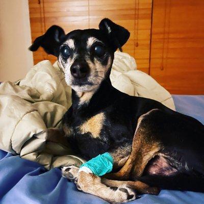 Jake, happy after his visit to the emergency hospital!