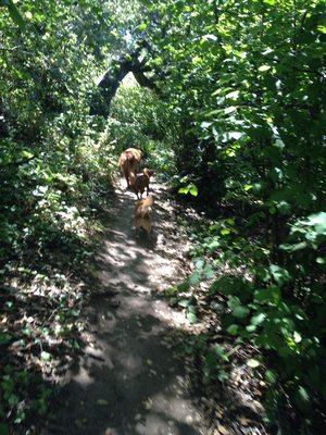 Tigger, Rigby & Ellie