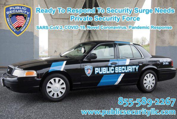 PUBLIC SECURITY LLC