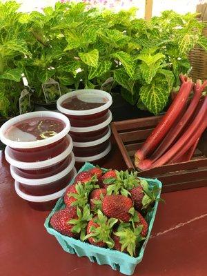 strawberries, rhubarb and jam