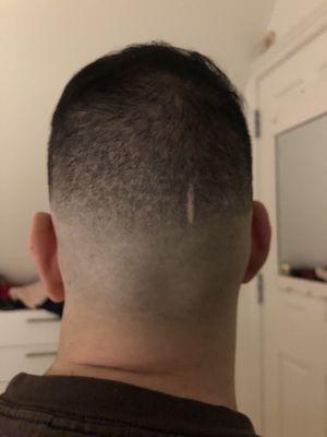 Great job with the fade!