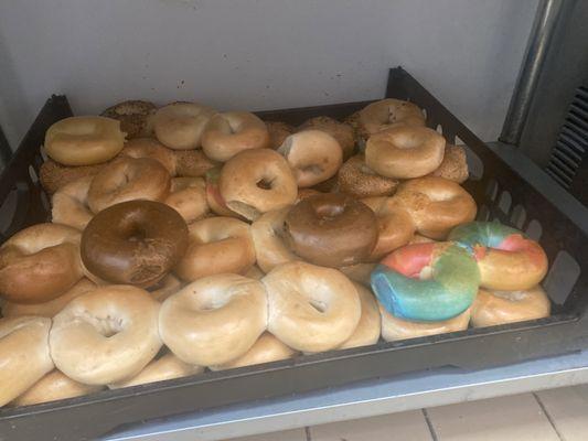 All the bagels