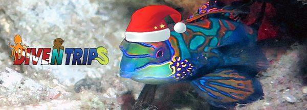 Merry Fishmas!