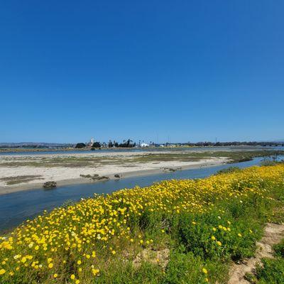 The park is next to a dog beach