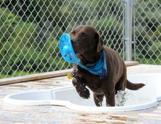 Splash & Play!