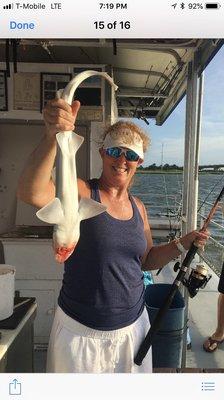 Sand Shark caught in the calm back bays in Avalon, NJ