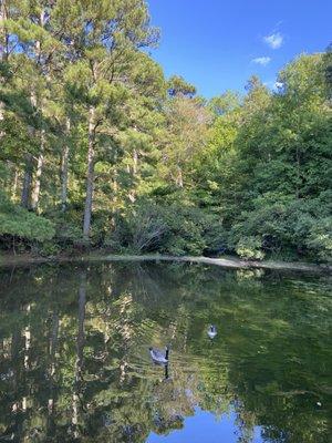 South end of lake.