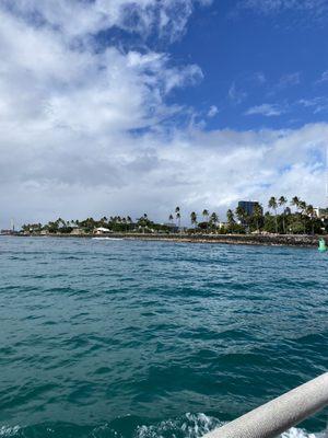 Ocean, palm trees