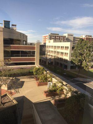 The Neurology Center of Southern California