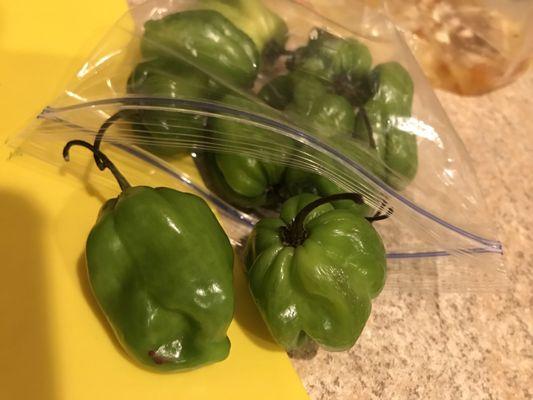 So excited I found these peppers.  Making marinades and salsas with these babies