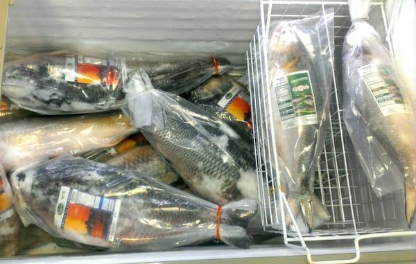 Bangaldeshi Imported Fish