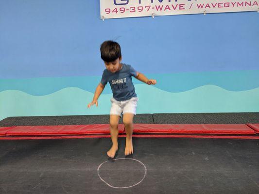 Waders on trampoline.