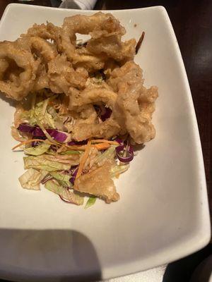 Fried calamari with lettuce that is clearly going bad