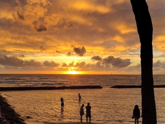 Kuhio Beach Park