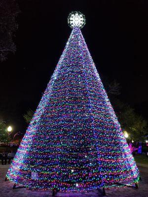 Great lights in Lake Mary Central Park.