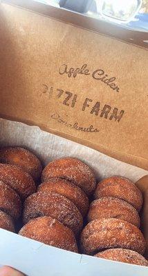 Apple cider donuts