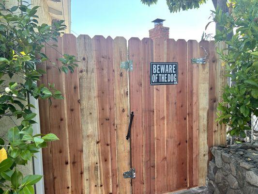 New fence and gate