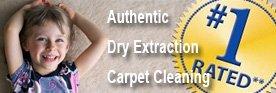 www.lovesdrycarpetcleaning.com