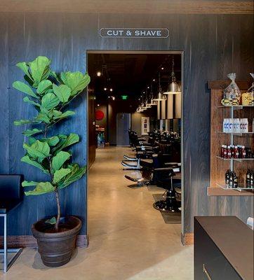 Oscar, our welcoming plant, is excited to greet you into our AMAZING barbering area.