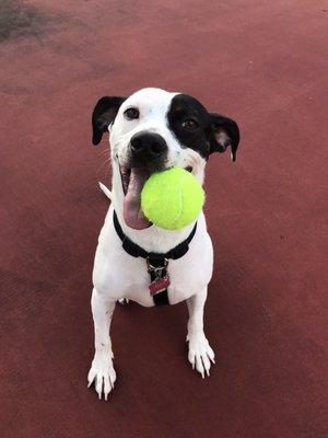 Loves her tennis!