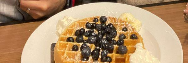 Blueberry Waffle