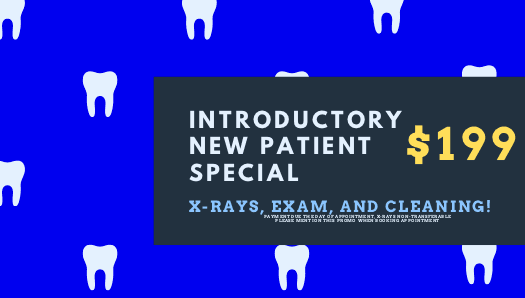 Introductory New Patient Special!