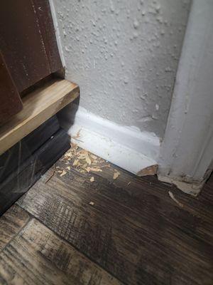 Rats have been cutting into the woodwork. Trying to stop them apartments infected with a lot of rodents  buildings 31