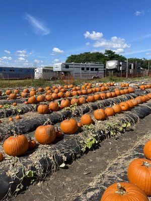 Bedner's Farm Fresh Market