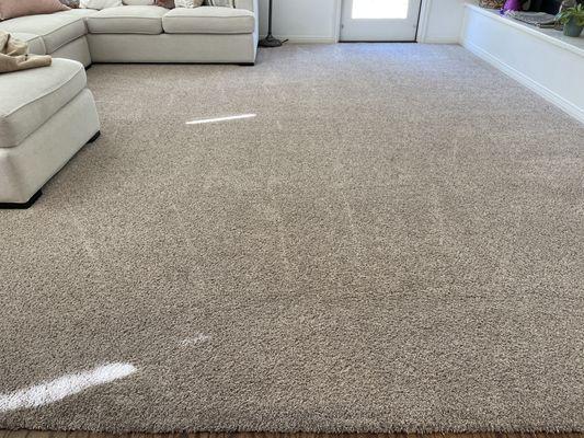 Zerorez Carpet Cleaning Moorpark