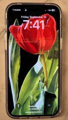 Wifes new gold iPhone 14 ProMax (she painted the red tulip).