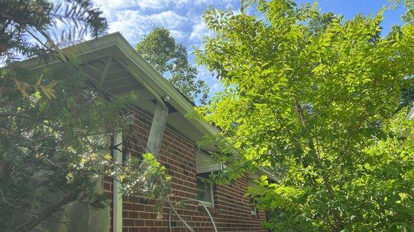 Gutter & soffit needs repair.