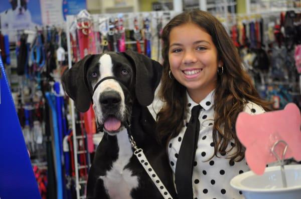 Great Customer Service @ the Village Pet Shop!