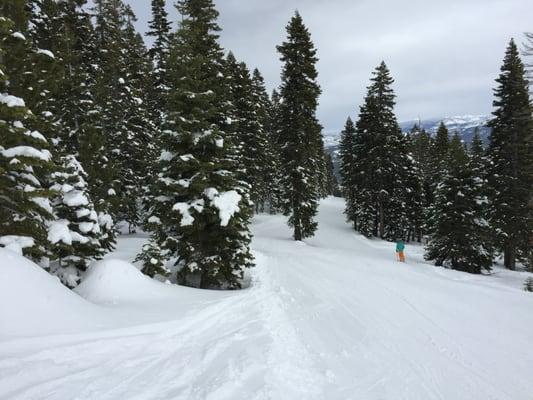 Northstar conditions were excellent 12/27/15