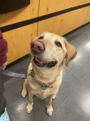 Finn in the checkout line after saying hi to some employees