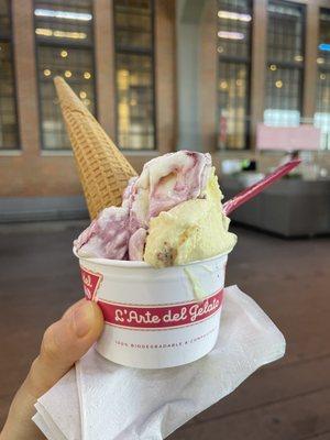 Gelato (Amerena Variegato & Biscotti di Mamma Rosa)