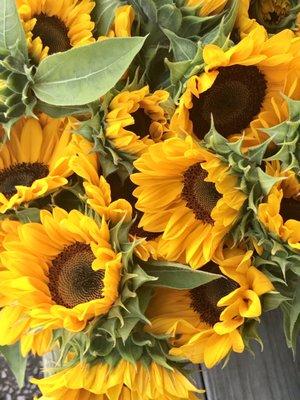 Sunflowers