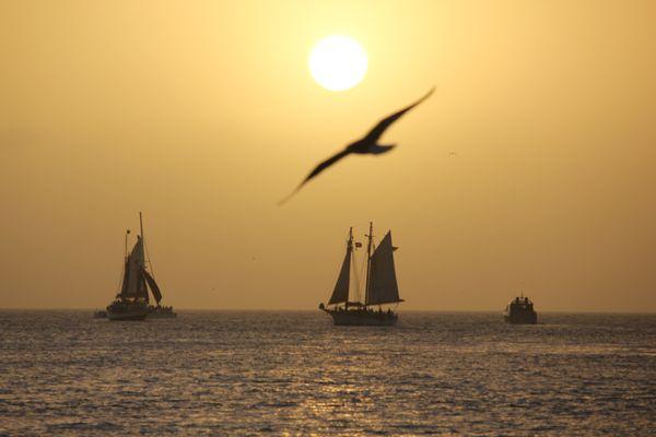 Sunset from Mallory Square area.