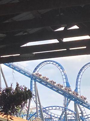 Blue Hawk on Its Chain Lift