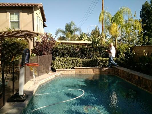 I didn't think you could string lights over a pool in an hour. I was wrong.