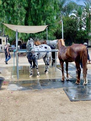 Wash area