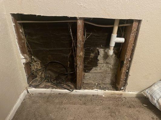 Replaces pipe, removed mold