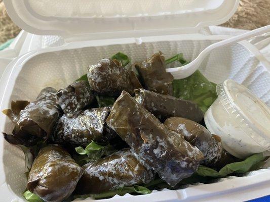 A few dolmas? No! A plethora of dolmas!! At least 9 or 10. Totally worth the money!