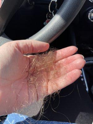 Huge clump of hair from poor cutting