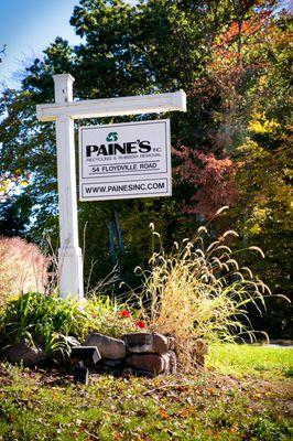 Paine's