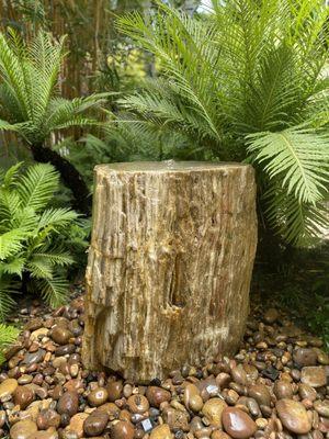 Petrified wood fountain