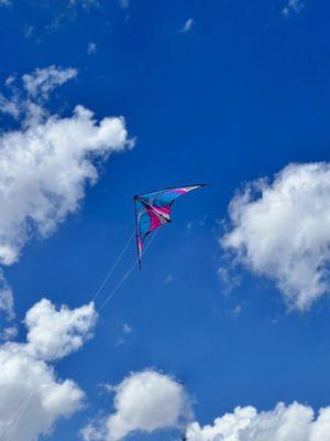 The Kite Connection