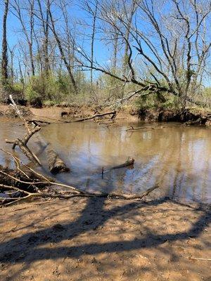 View of the river from the trail