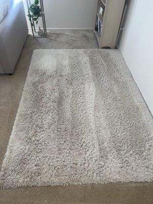 Area rug looks clean, still very wet after 4 days